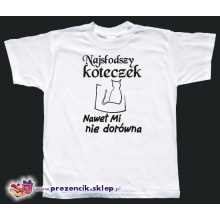 Najsłodszy koteczek nawet mi niedorówna - prezent na urodziny, imieniny itd...