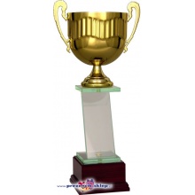 Puchar z dużą tabliczką - Nagroda - Podziękowanie - Wyróżnienie 3074