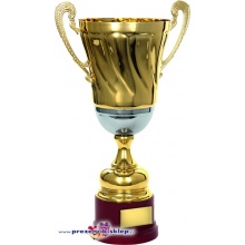 Puchar złoto-srebro dla zwycięzcy - 2045