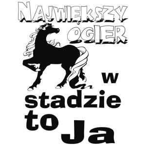 Największy ogier w stadzie